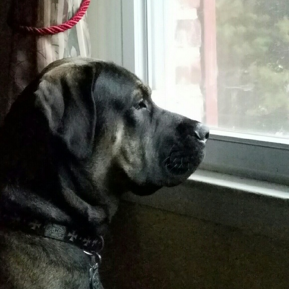 Meet your Posher, Tricia - Picture 1 of 1