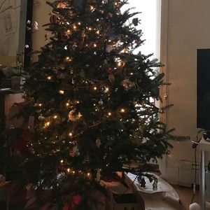 Meet your Posher, Minna