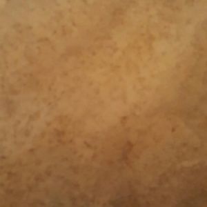 Meet your Posher, Alonzo