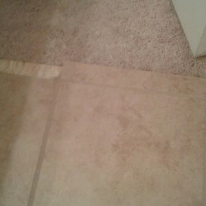 Meet your Posher, Tarika