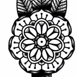 Meet your Posher, Ari