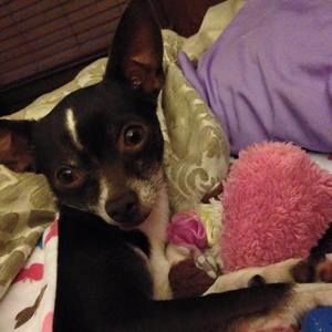 Meet your Posher, Tonia