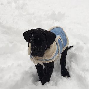 Meet your Posher, Stacey