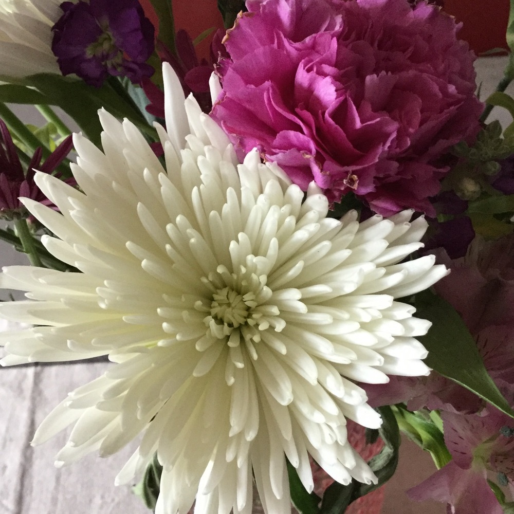 Meet your Posher, Carly