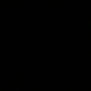 Meet your Posher, Sally