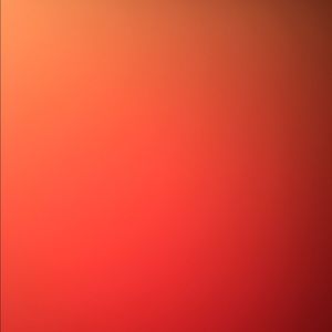 Meet your Posher, Maia