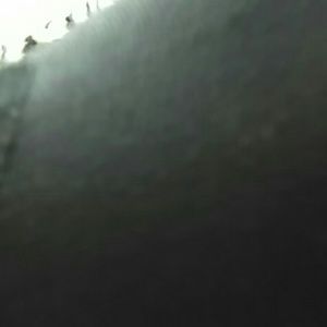 Meet your Posher, Jenice