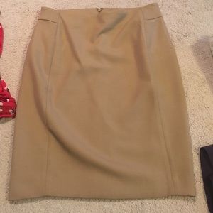 Ann Taylor Loft Size 8 NWOT Skirt