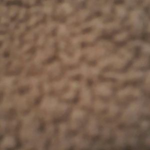 Meet your Posher, Priscilla