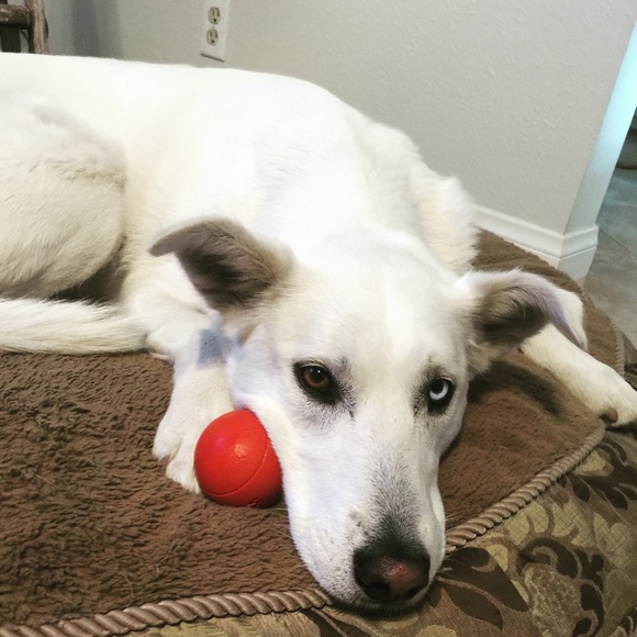 Meet your Posher, Melanie - Picture 1 of 1