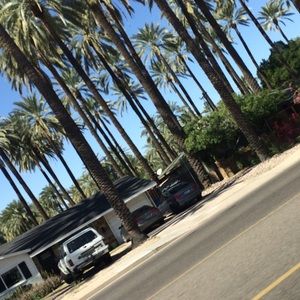 Meet your Posher, Janie