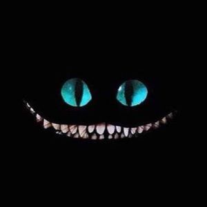 Meet your Posher, Jadyn