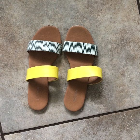 super cute Express slip ons - Picture 1 of 3