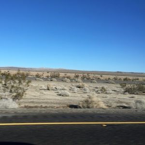 Meet your Posher, Dewi