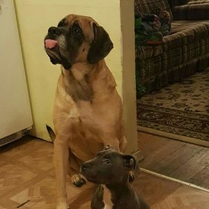 Meet your Posher, Maria