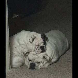 Meet your Posher, Jenny