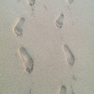 Meet your Posher, Terence