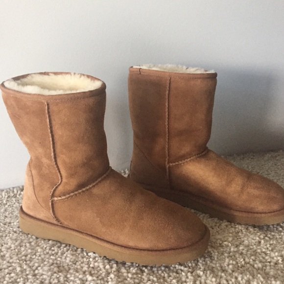 camel uggs short