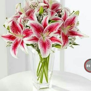 Meet your Posher, Bobbi-jo