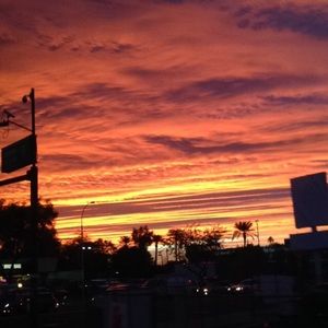 Meet your Posher, Monique