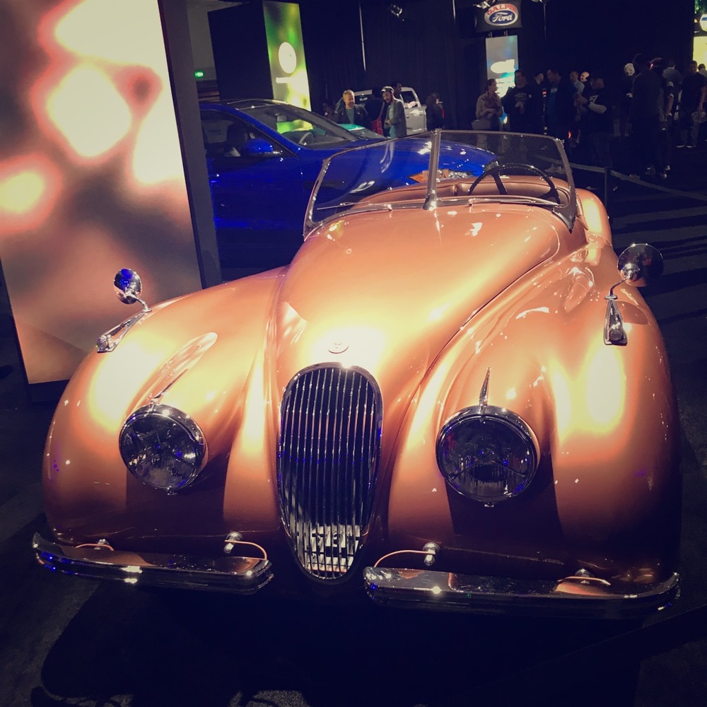 Meet your Posher, Joey