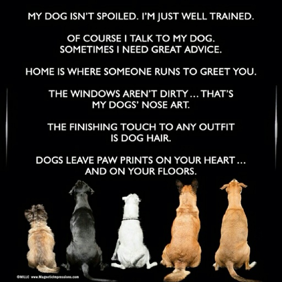 Meet your Posher, S - Picture 1 of 1