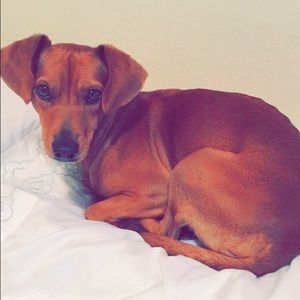 Meet your Posher, Katrina