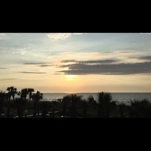 Meet your Posher, Jamilah