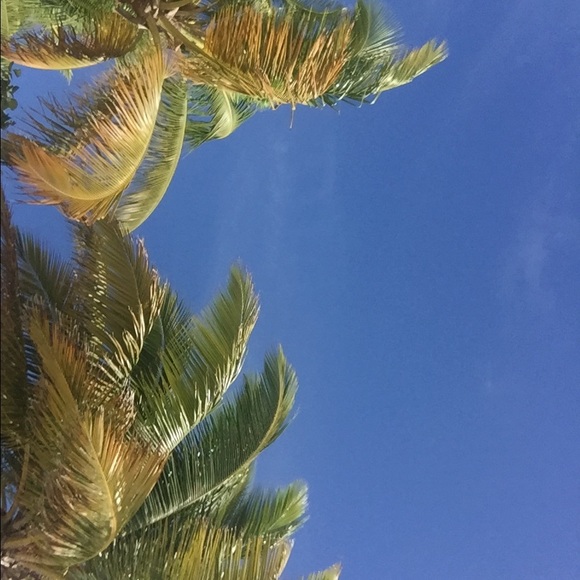 Meet your Posher, Jane