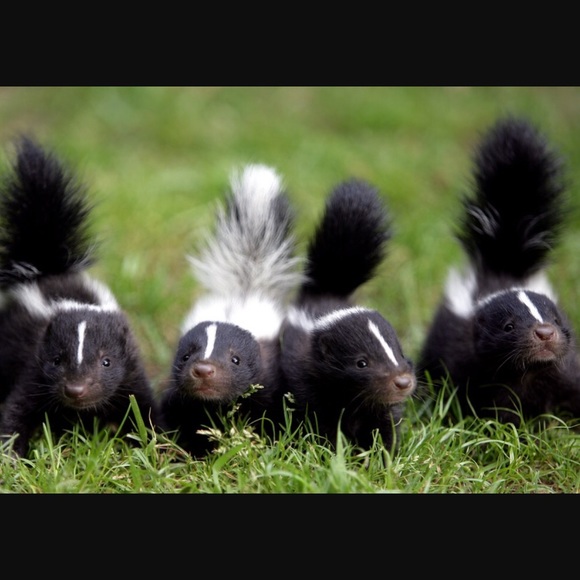 Meet your Posher, Jannick - Picture 1 of 1