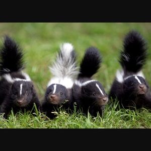 Meet your Posher, Jannick