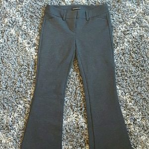Express Dress Pants - Dark Gray