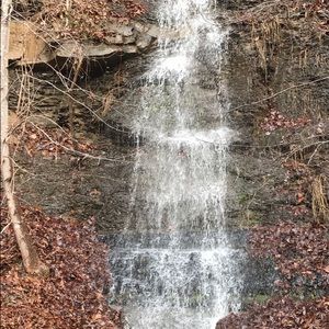 Meet your Posher, Buffy