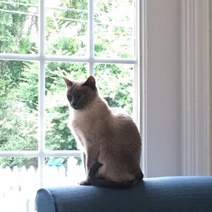 Meet your Posher, Heidi