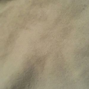 Meet your Posher, Tanya