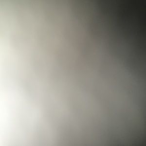 Meet your Posher, Dominick