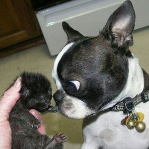 Meet your Posher, Keith