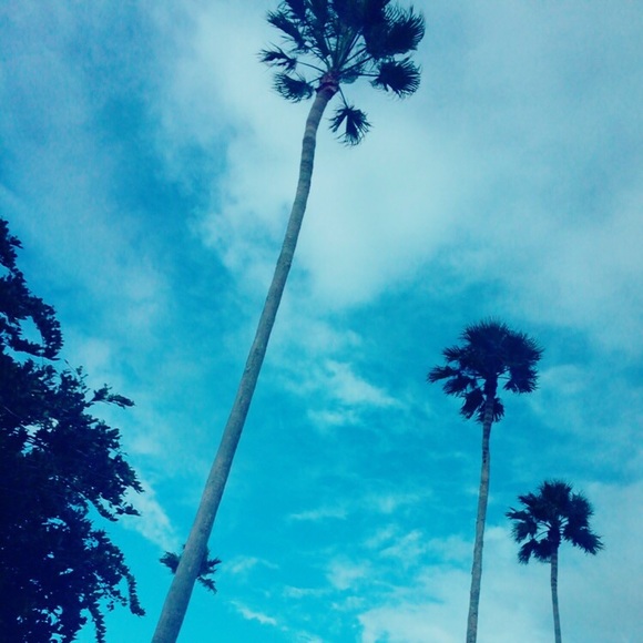 Meet your Posher, Jen