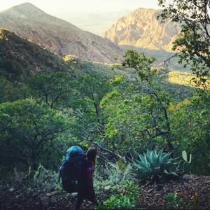 Meet your Posher, Laurel