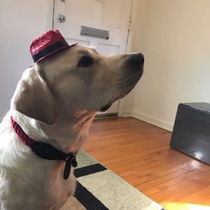 Meet your Posher, Manju