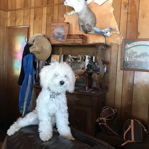 Meet your Posher, Kris