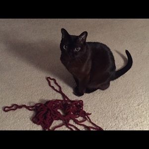 Meet your Posher, Janette