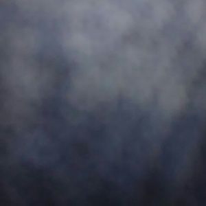 Meet your Posher, Inez