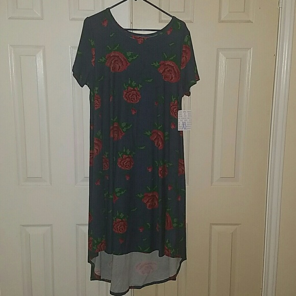 LuLaRoe Dresses & Skirts - One day sale! 🦄 NWT Lularoe Carly w/ Roses!