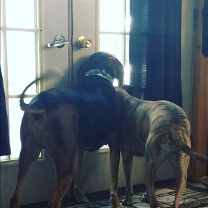 Meet your Posher, Rebecca