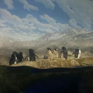 Meet your Posher, Tabitha