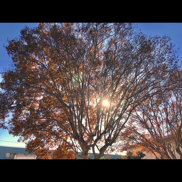 Meet your Posher, Cindy - Picture 1 of 1