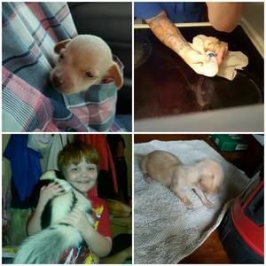 Meet your Posher, Lynnette