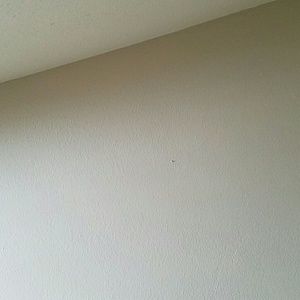 Meet your Posher, Johnisha