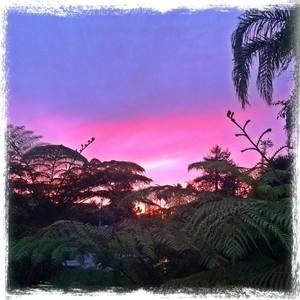 Meet your Posher, Meghan